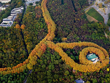 Анкерное армирование: Дворец Мэйлин в Нанкине